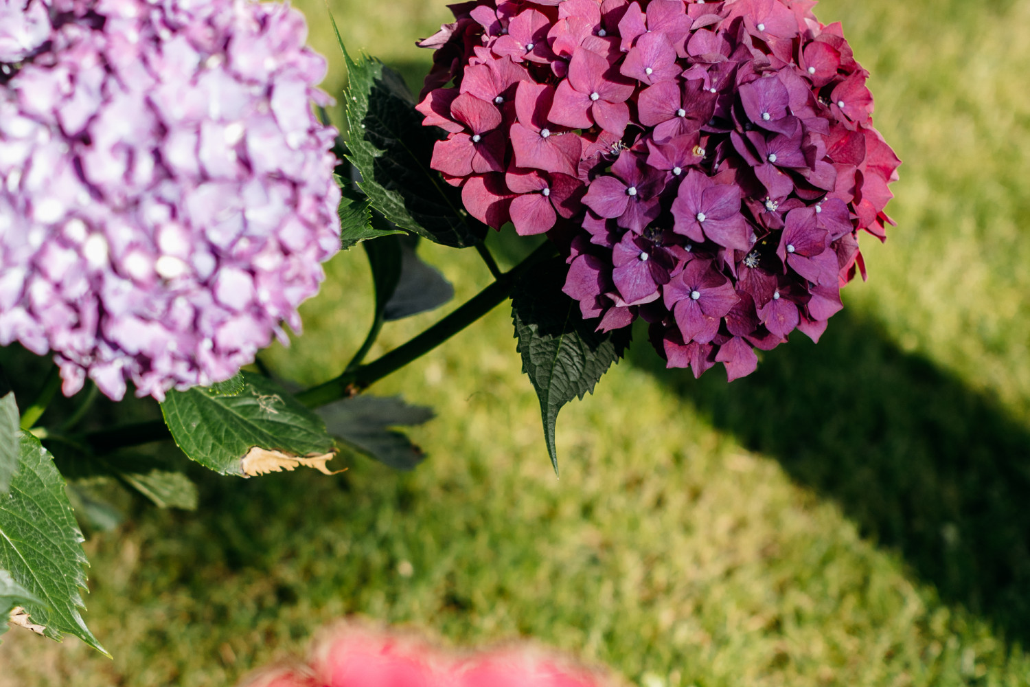 Exterieurs-chantecler-18