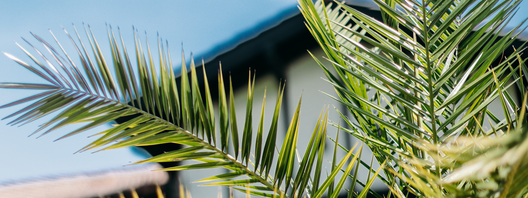 Exterieurs-chantecler-39