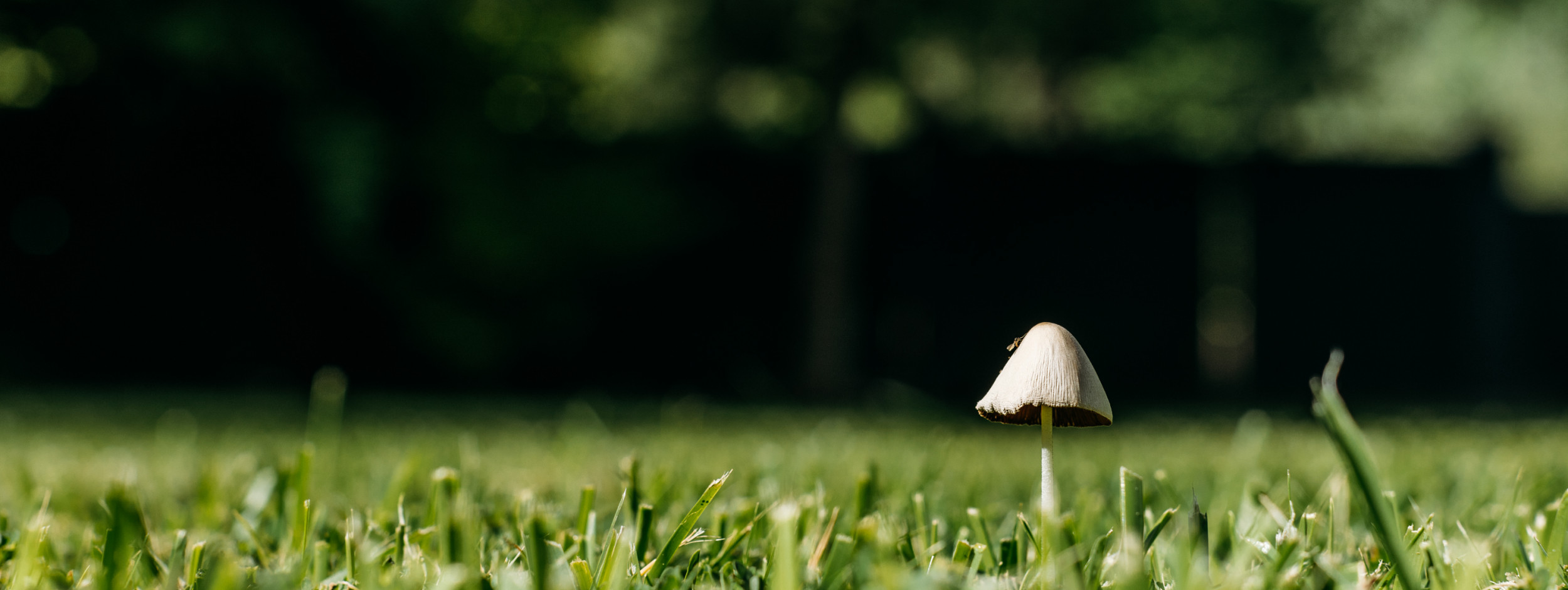 Exterieurs-chantecler-26