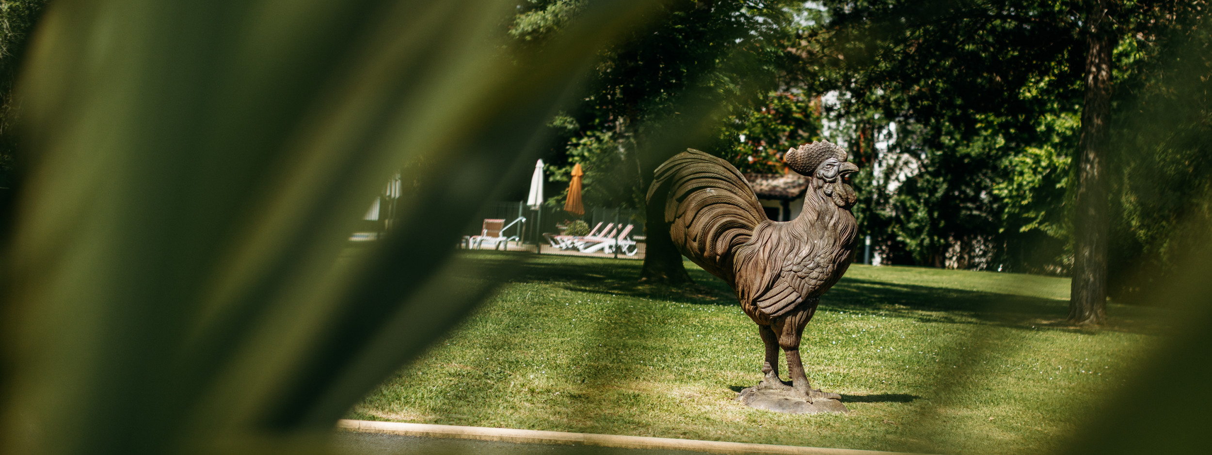 Exterieurs-chantecler-45